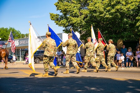 Veterans Day pic