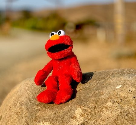 elmo!