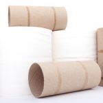 rolls of toilet paper (empty and full)